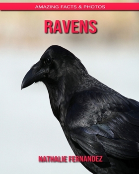 Ravens: Amazing Facts & Photos