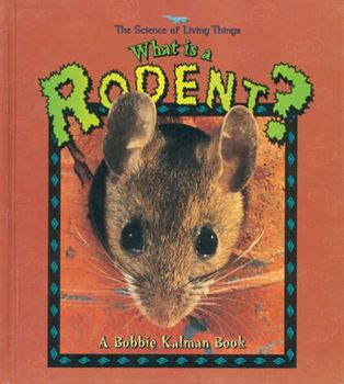 Paperback What Is a Rodent? Book