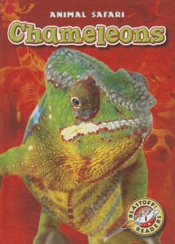 Chameleons - Book  of the Animal Safari