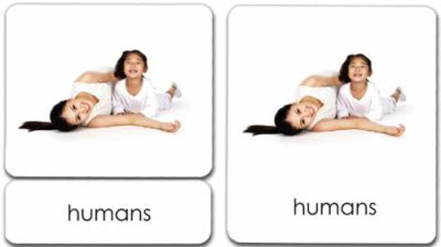 Cards Living 3-Part Reading Cards Book