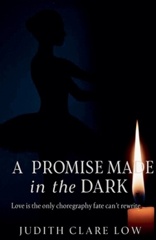 Paperback A Promise Made In The Dark Book