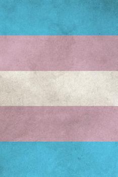 Transgender Pride Flag Sketchbook: 6" x 9" 200 Page / 100 Sheet Blank Sketch Book Journal