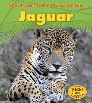 Paperback Jaguar Book