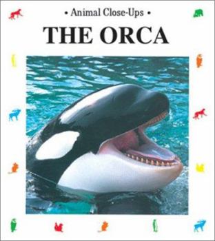 Paperback The Orca: Admiral of the Sea Book