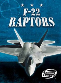 Library Binding F-22 Raptors Book