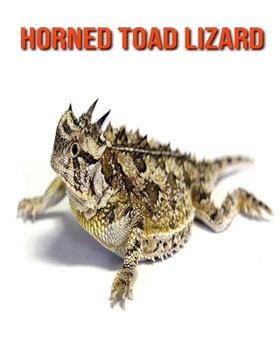 Horned Toad Lizard: Amazing Facts about Horned Toad Lizard