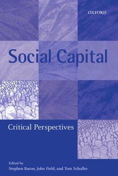 Paperback Social Capital: Critical Perspectives Book