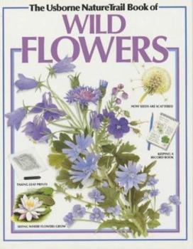 Paperback Wild Flowers (Usborne Nature Trail) Book