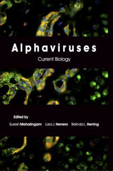 Hardcover Alphaviruses: Current Biology Book