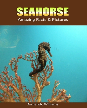 Paperback SeaHorse: Amazing Facts & Pictures Book