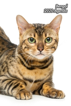 Paperback Bengal 2020 Agenda: Chaton ou Chat - 139 Pages - 12 Mois - Format A5 - Agenda - Journalier - Planificateur - Semainier Simple - Calendrier [French] Book