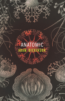 Paperback Anatomic Book