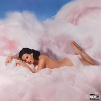 Vinyl Teenage Dream (2 LP) Book
