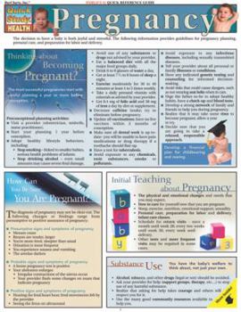 Pregnancy