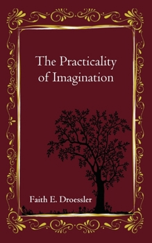 Paperback The Practicality of Imagination Book