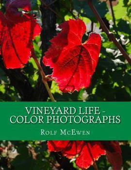 Vineyard Life - Color Photographs