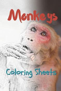 Paperback Monkey Coloring Sheets: 30 Monkey Drawings, Coloring Sheets Adults Relaxation, Coloring Book for Kids, for Girls, Volume 13 Book