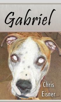 Paperback Gabriel Book