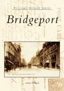 Paperback Bridgeport Book