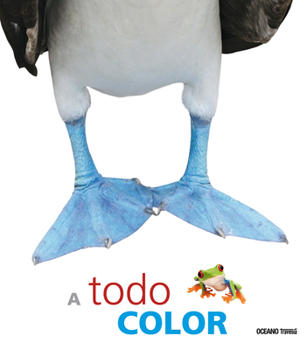 Hardcover A Todo Color [Spanish] Book