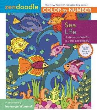 Paperback Zendoodle Color-By-Number: Sea Life: Underwater Worlds to Color and Display Book