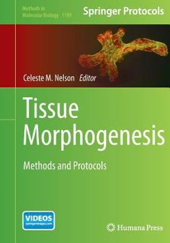 Tissue Morphogenesis: Methods and Protocols