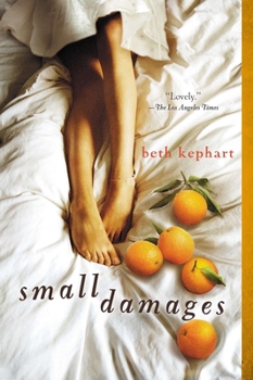 Paperback Small Damages Book