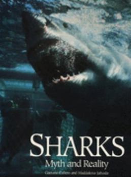 Hardcover Sharks: Myth and Reality Book