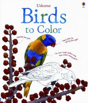 Paperback Birds to Color Book