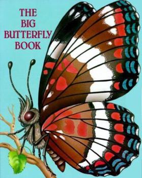 Paperback Big Butterfly Book (Trade) Book