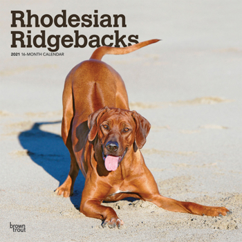 Calendar Rhodesian Ridgebacks 2021 Square Book