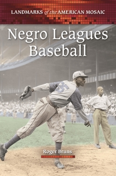 Hardcover Negro Leagues Baseball Book