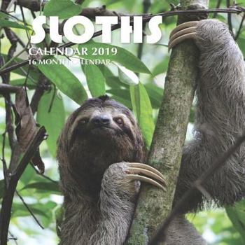 Paperback Sloths Calendar 2019: 16 Month Calendar Book