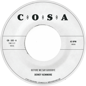 Vinyl Before We Say Goodbye (Clear) Book