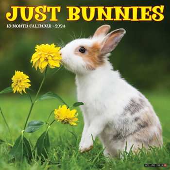 Calendar Just Bunnies 2024 12 X 12 Wall Calendar Book