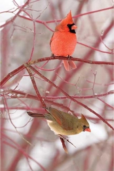 Hardcover Cardinal Blank Journal Book