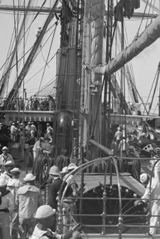 MARINHARIA (Portuguese Edition)