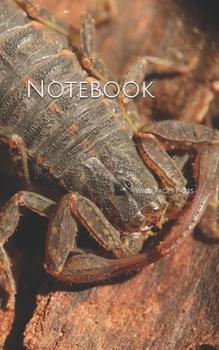Paperback Notebook: scorpion arachnid insects arthropod insect bug Book