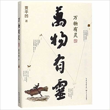 Paperback Animism [Chinese] Book