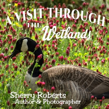 Paperback A Visit Through the Wetlands Book