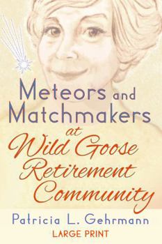 Paperback Meteors and Matchmakers at Wild Goose Retirement Community Book