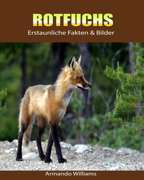 Paperback Rotfuchs: Erstaunliche Fakten & Bilder [German] Book
