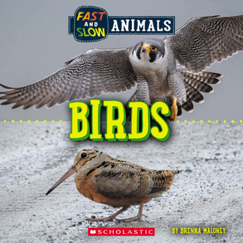 Paperback Birds (Wild World: Fast and Slow Animals) Book