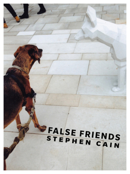 Paperback False Friends Book