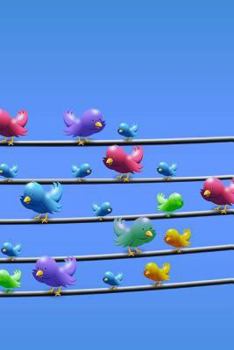 Paperback Birds on Wires Notebook Book