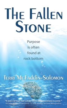 Paperback The Fallen Stone: Purpose is often found at rock bottom Book