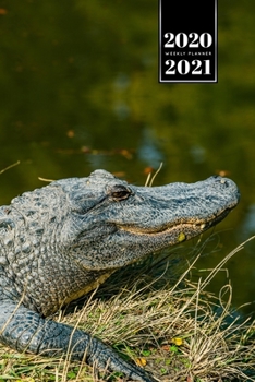 Crocodile Alligator Gharial Caiman Reptile Week Planner Weekly Organizer Calendar 2020 / 2021 - On the Shore: Cute Wildlife Animal Pet Bullet Journal Notebook Diary in 6" x 9" Inch Pocket Size