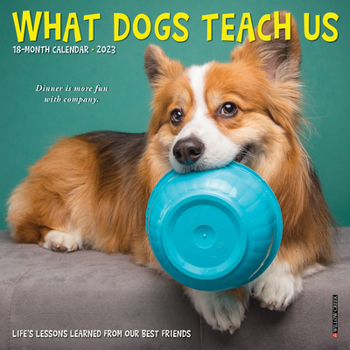 Calendar What Dogs Teach Us 2023 Mini Wall Calendar Book