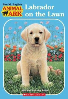 Labrador on the Lawn - Book #61 of the Animal Ark [GB Order]