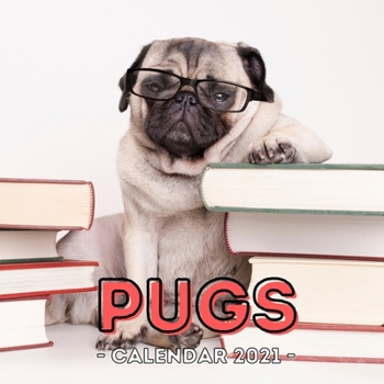 Pugs: 2021 Pug Wall Calendar, Cute Gift Idea For Pug Lovers Or Owners Men And Women.